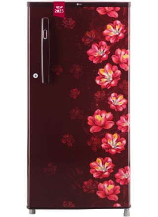 LG 185 L Direct Cool Single Door 2 Star Refrigerator Online at Best Price  in India